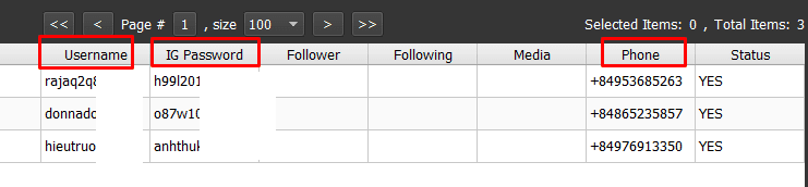 Database Manager - Results after creating IG accounts