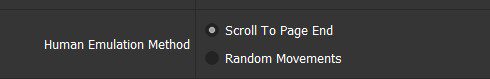 seo tool