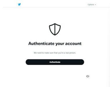 verify accounts with captcha - twitterautomation 2