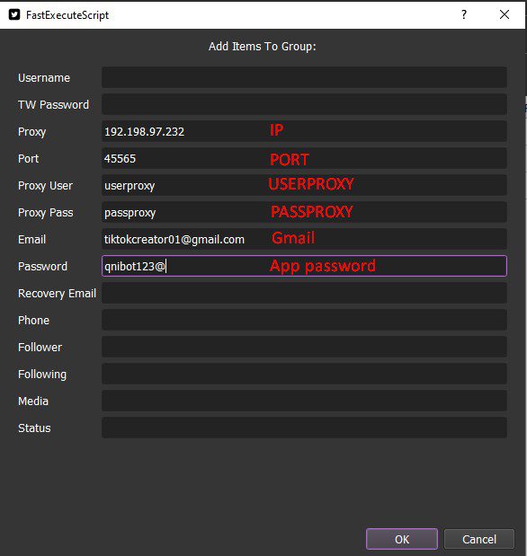 Nhập thông tin Email vào tool tạo nick Twitter