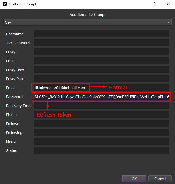 Nhập Hotmail vào tool tạo nick Twitter