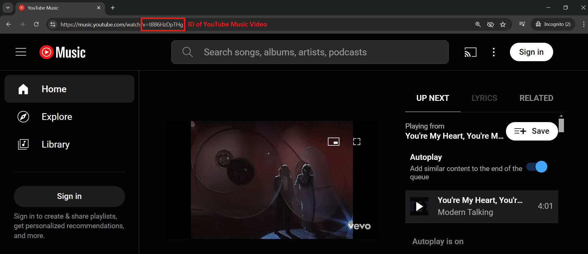 video ID  - youtube software