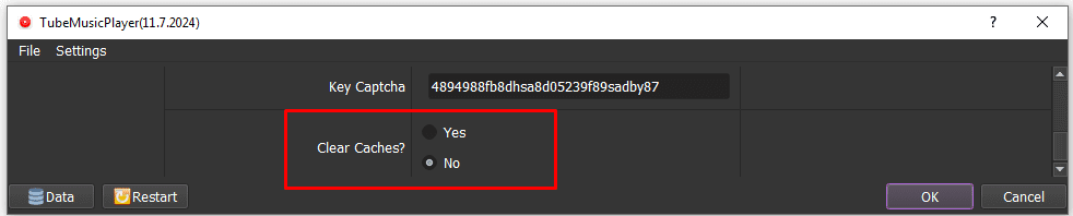 clear caches  - youtube music auto tool