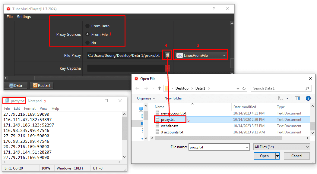 proxy from file  - youtube music auto tool