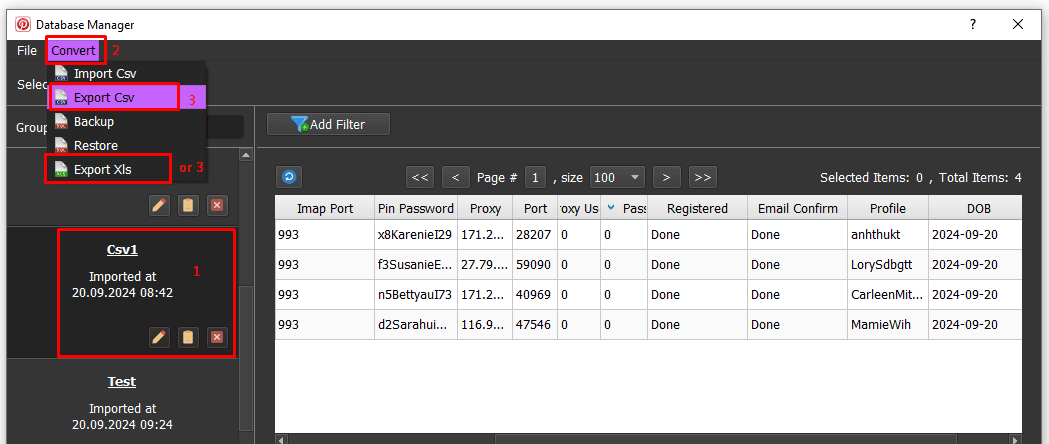 Export created accounts - Pinterest account creator