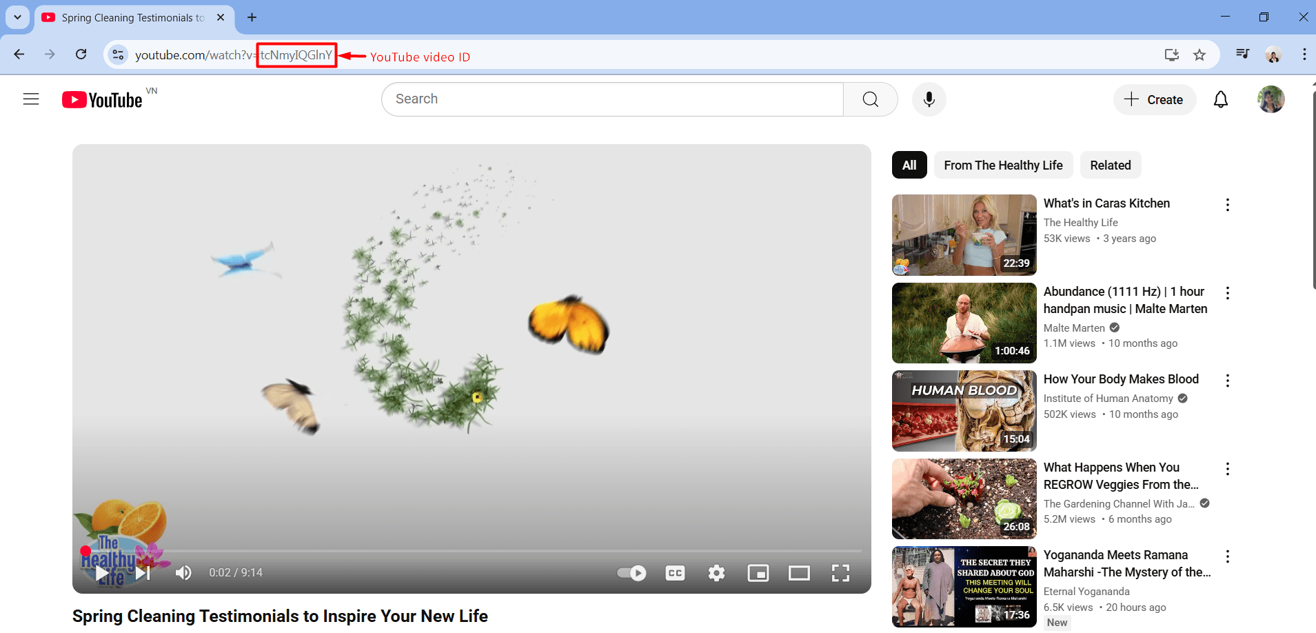 how to get video ID - YouTube API Bot