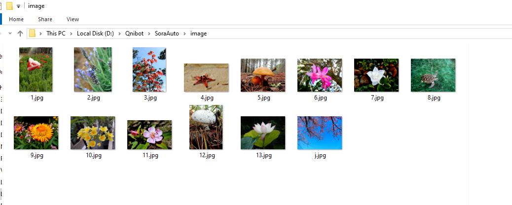 Tạp folder lưu hình ảnh trong phần mềm auto Sora