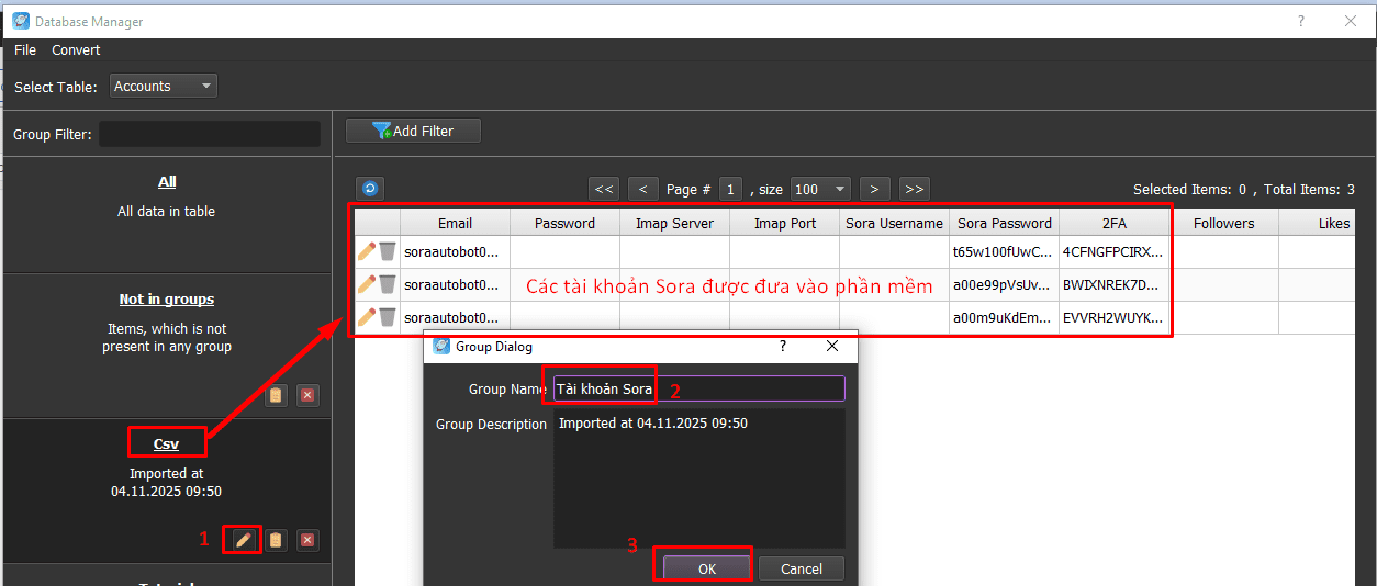 Nhập tài khoản vào phần mềm auto Sora